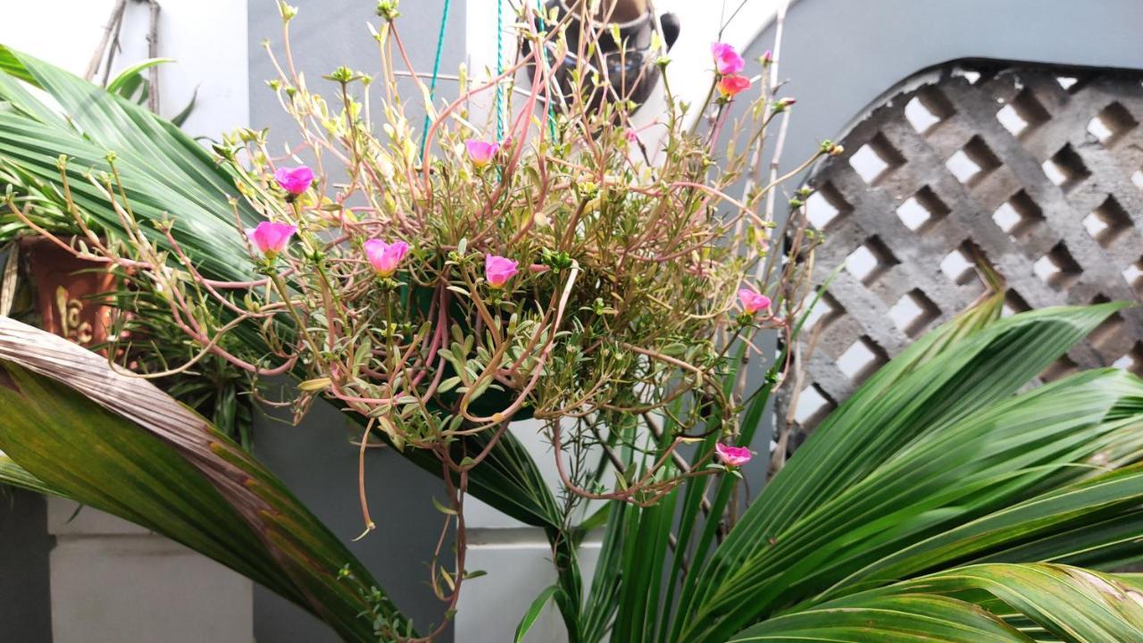 Homestay Nhà Muội Quy Nhon Exterior foto